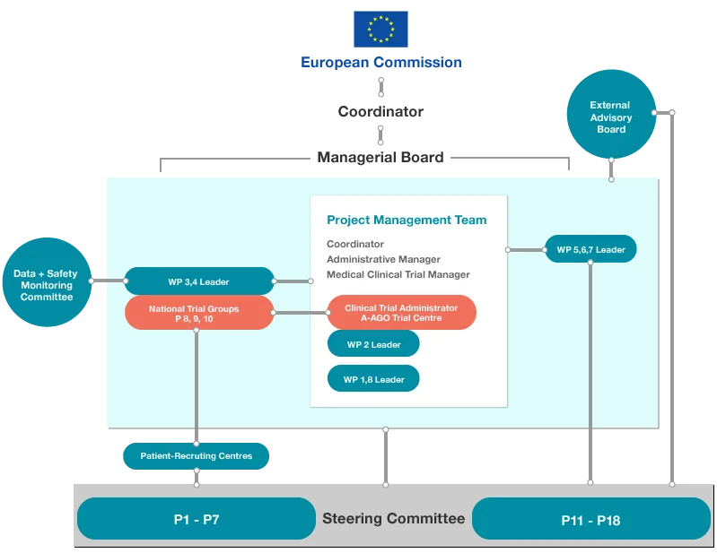 Diagram of the GANNET53 management structure