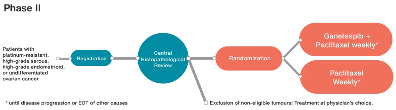 Infographic of the randomised Phase II study